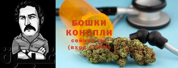 PSILOCYBIN Наволоки