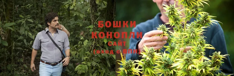 где продают наркотики  Исилькуль  Бошки Шишки LSD WEED 